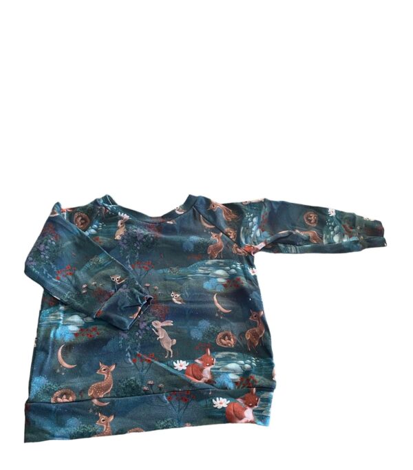 Sweat enfant